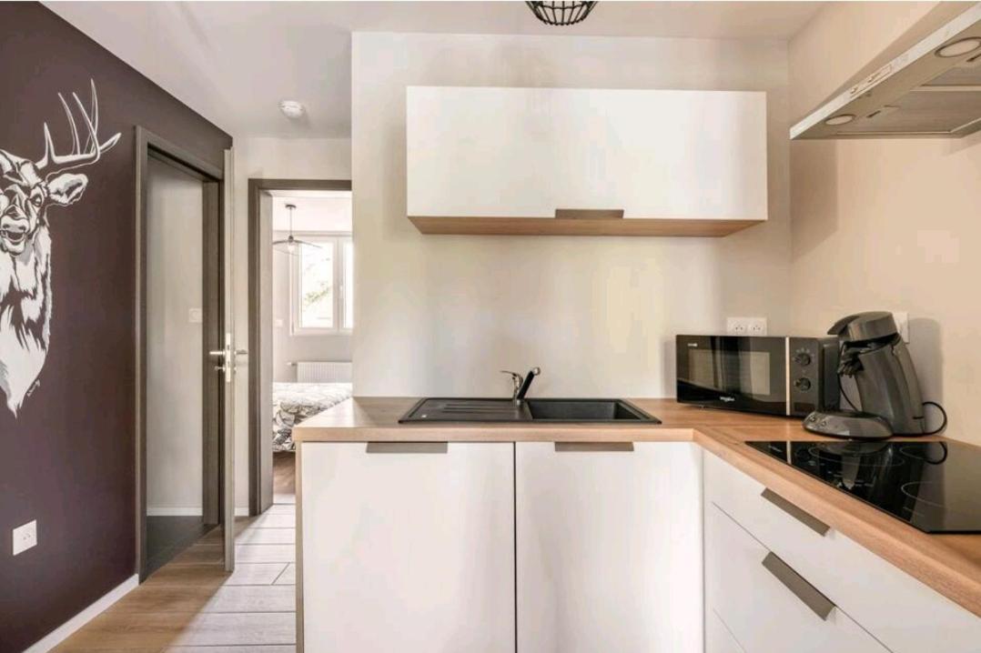 Le Nature 1 Chambre Et Sauna Colmar Exteriér fotografie